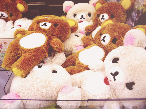 ushii-blog:  fuzzy rilakkuma (by y o s h i)   I want to cuddle one of these all the time