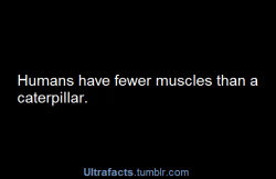 ultrafacts:  Source Click for more facts!