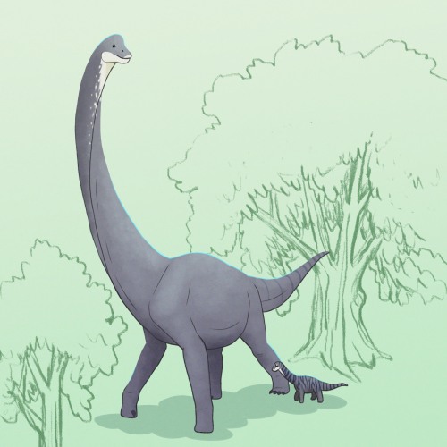 1dinodaily:1/24/22 Brachiosaurus