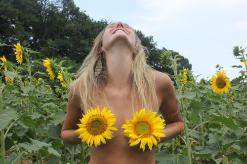 hippie-kidss:  &ldquo;We should all be like sunflowers, facing only where the sun is.&rdquo;