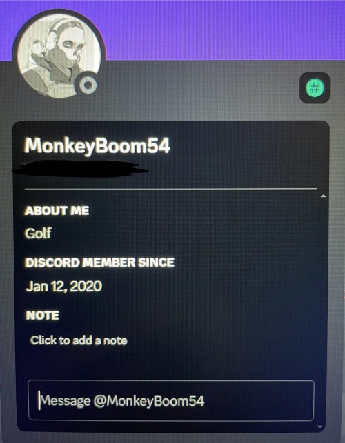 I Would Like To Momentarily Direct Your Attention To The Difference Between My Profile On Discord And