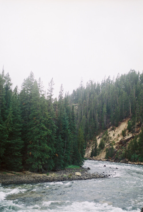 Rivers in the Canyon. Canon AE-1