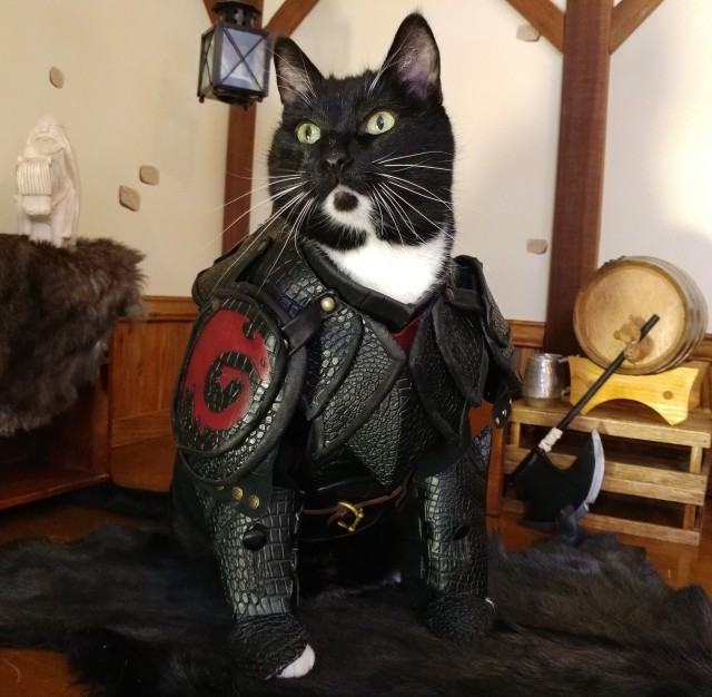 Cat Cosplay of the Feline variety. 2023