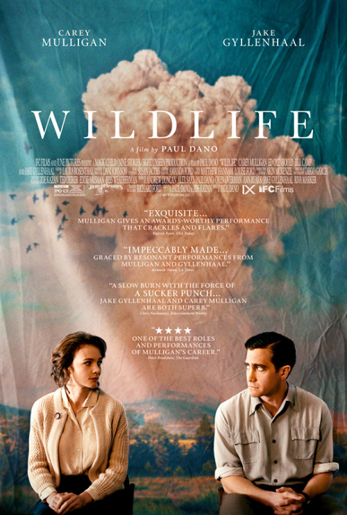 gyllenhaaldaily: First official poster for “Wildlife” (2018)