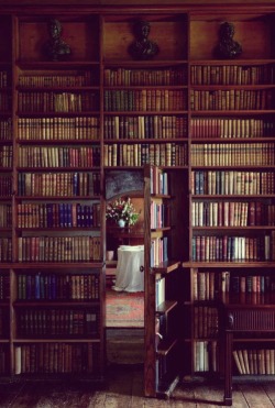 shipwreckedinsc:  Secret Bookcase Room, Italy