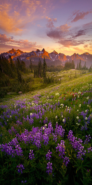 enchanting-landscapes: Lijah Hanley