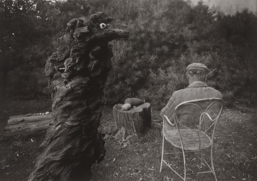 Sex vivipiuomeno1:  Josef Sudek ph. (Czechoslovakian, pictures