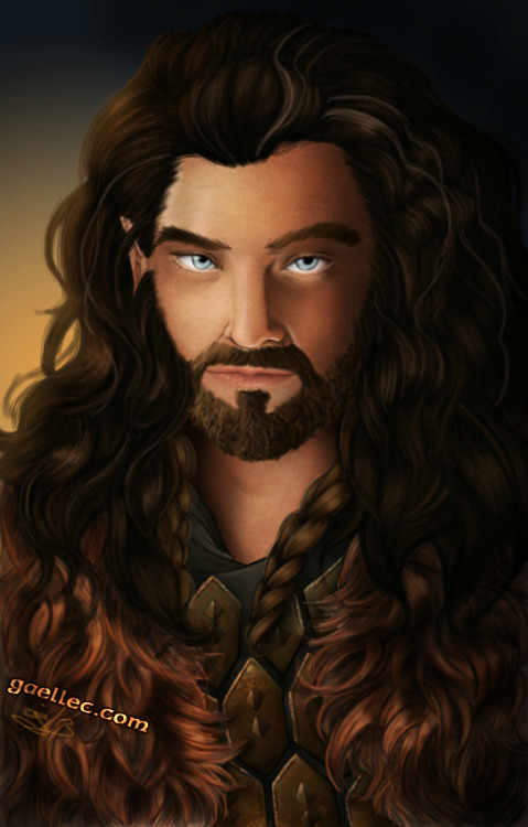 Thorin Oakenshield - painted right after the first movie was released.