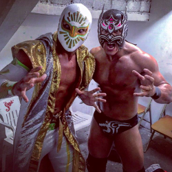 A Luchadork