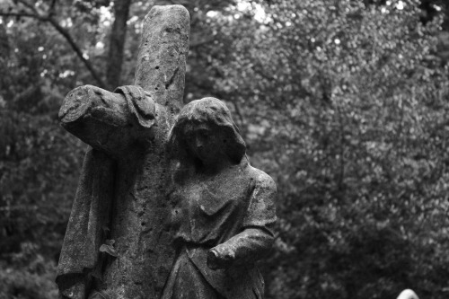 butisitartphoto:more highgate cemetery