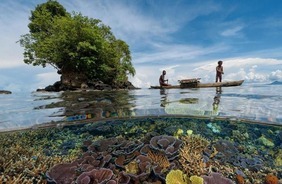 34 Incredible Photos That Reveal A Glimpse Of What Lies Beneath The Water’s Surface http://ift.tt/1xSQJKn