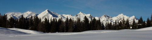 Rodenecker Alm