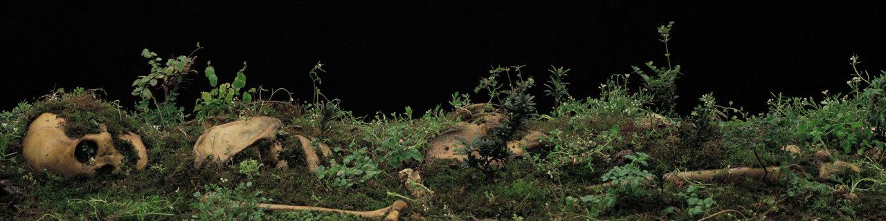 myampgoesto11:  Sculptures by Dong Wensheng 董文胜 My Amp Goes To 11: Twitter | Instagram