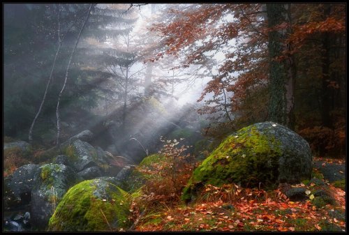 SvetoslavBulgaria / Vitosha