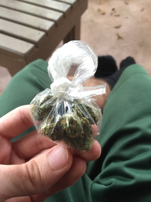 reddlr-trees:  My dealer tied up my bag for me so I could hang it on the tree like an ornament.