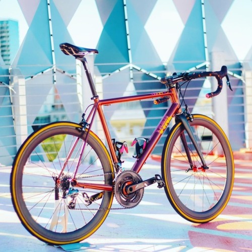 vynlbikes: It never gets easier, you just look better. @morningride.cc