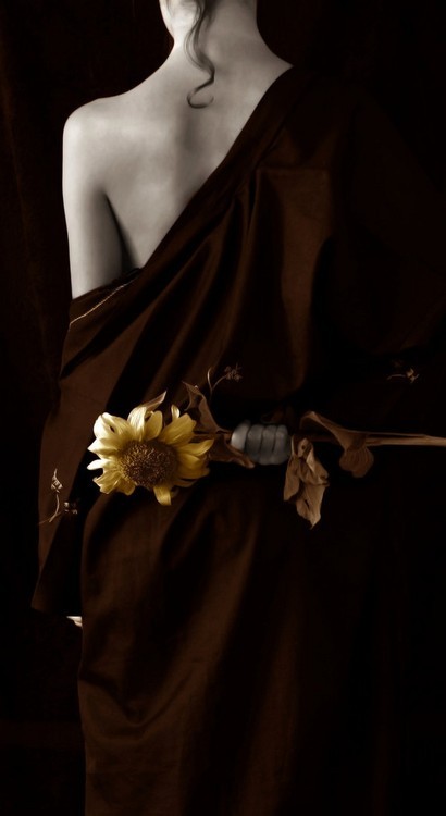 ~Sensuelle's Picture Book~