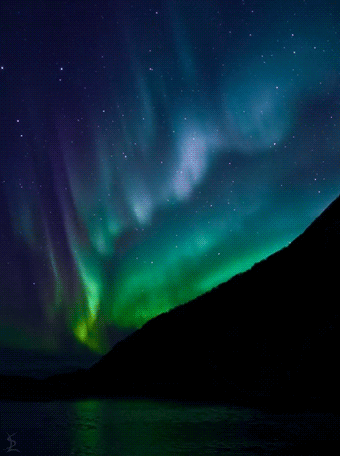 I Bet You Looked So Beautiful Under The Borealis