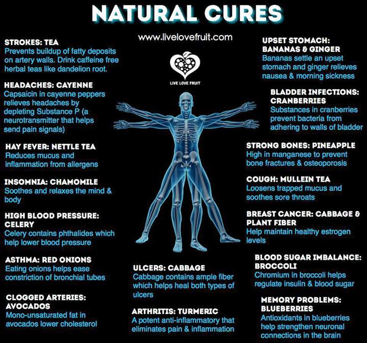 purenaturalcures:  the-more-u-know:   Common ailments normally respond very well
