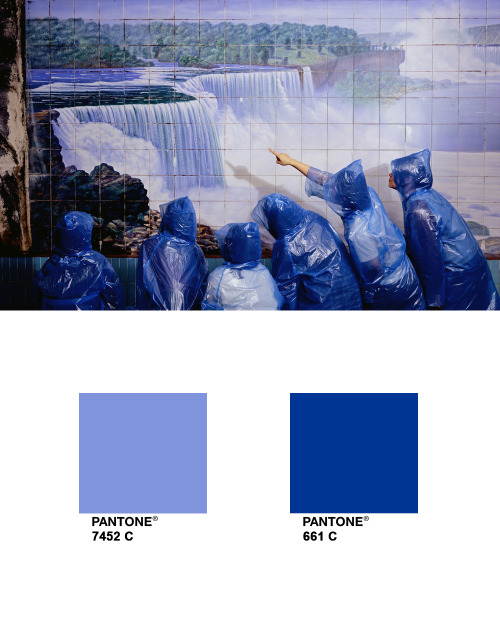 bluepantone:Niagara _ Jaye Rhee PANTONE 7452 C PANTONE 661 C