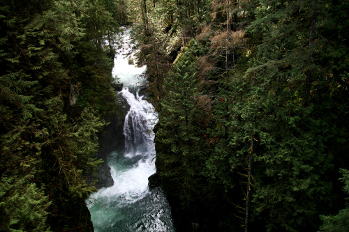 Lynn Canyon | 2016