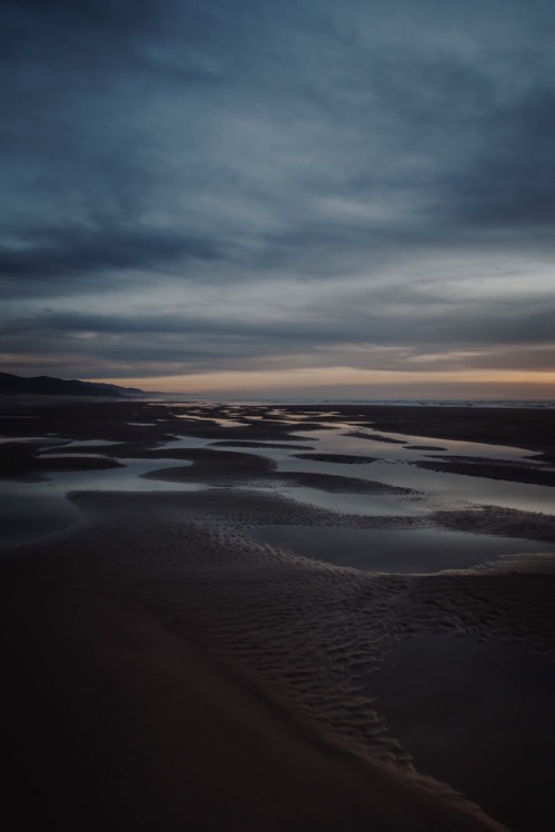 withoutroots:01 january // manzanita