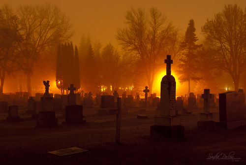 tumblr photo baby-vampir3 0
