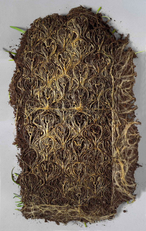 itscolossal:Domesticated Root Systems by Diana Scherer Form Twisting and Repetitive Patterns in Patc