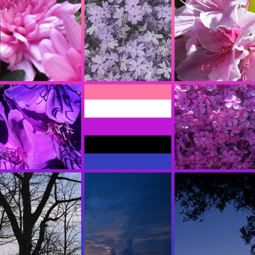 transcendragon: Genderfluid moodboards! The last two moodboards are new! Genderfluid people are fant