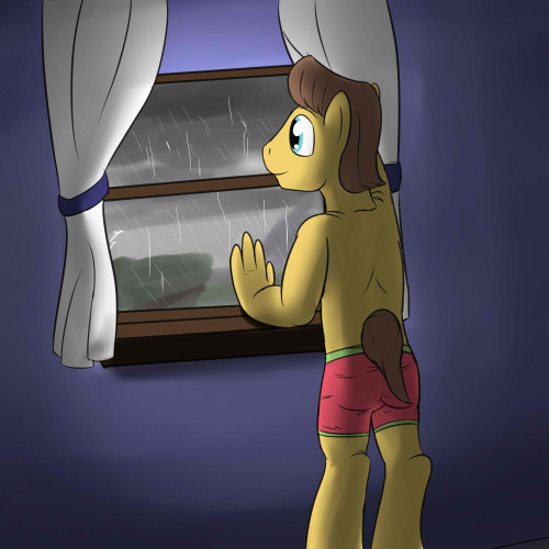Caramel looking out into the rain. Stream Request