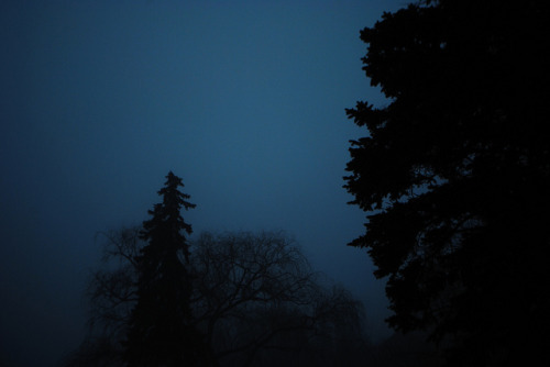 winterfellis:  BLUE FOG SEVEN by revanchiastic on Flickr.