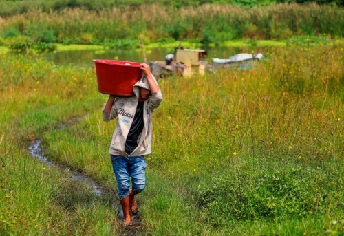 MERCURIO TÓXICO. El lago Xolotlán de Nicaragua está altamente contaminado. El X