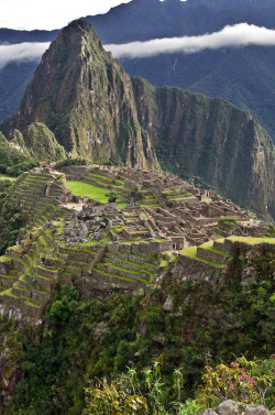 l0stship:  Machu Picchu {by Marc Shandro}
