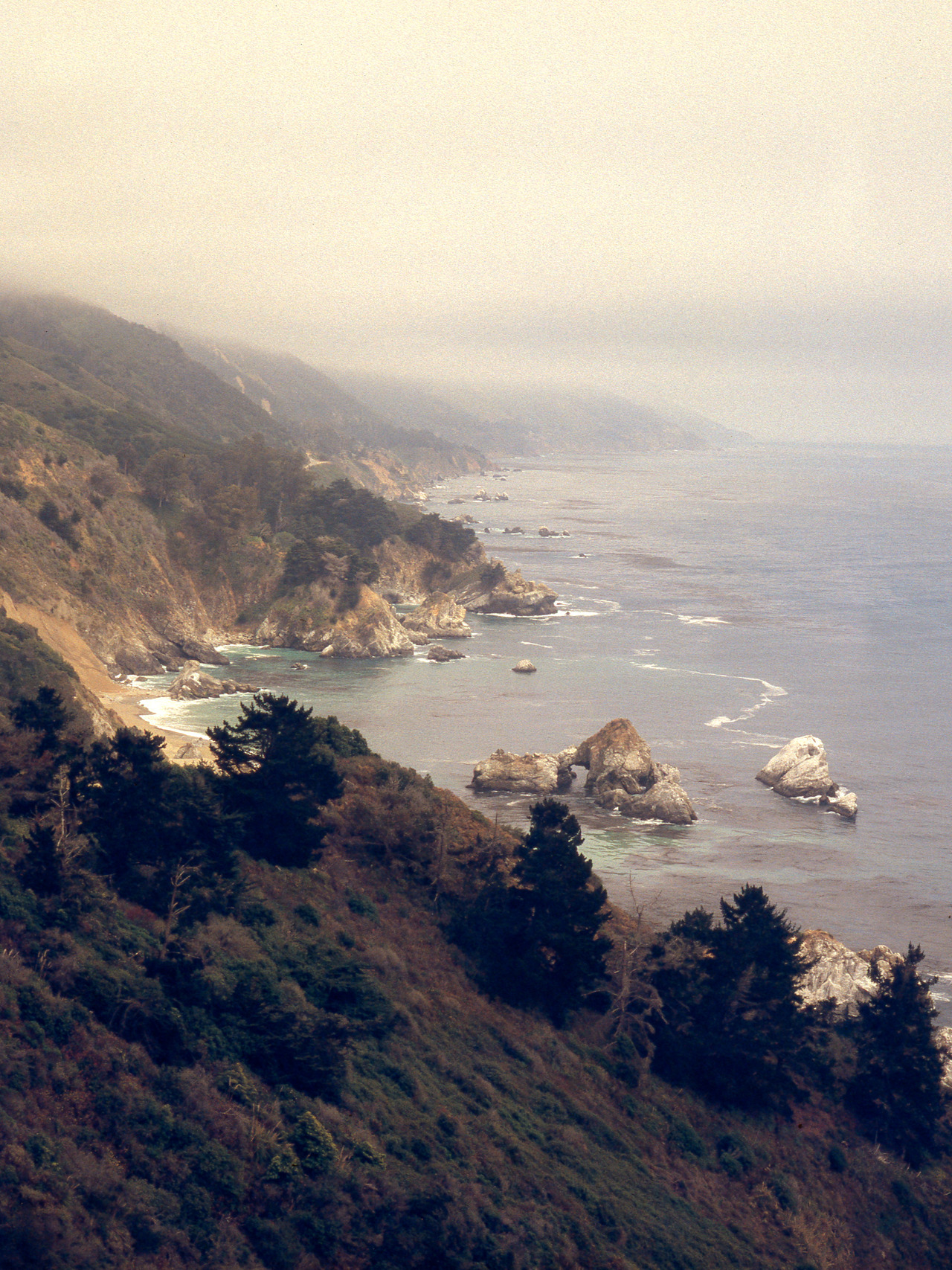 heerethere:  big sur / june