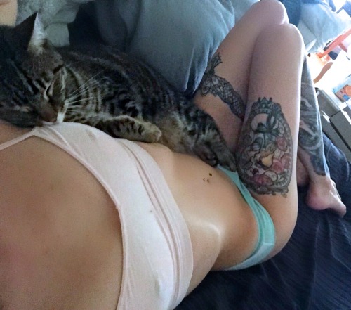 provocative-sensuality:  how I’m spending my day off: snuggles with my favorite guy (sorry Sir) 😽