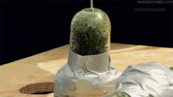 weedporndaily:  running bho