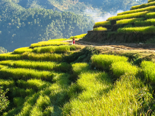 breathtakingdestinations:Tandrang - Nepal (by ::ErWin) 