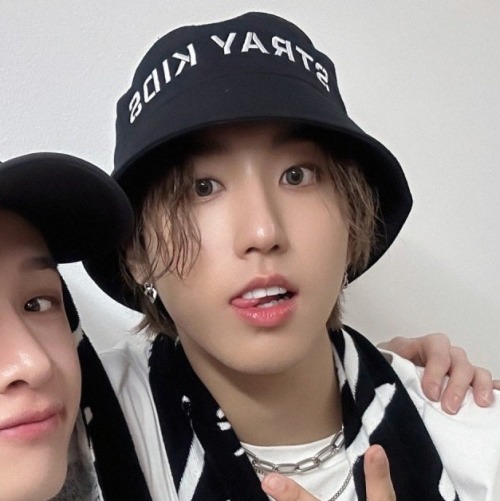 Stray Kids Matching Icons/metadinhas.