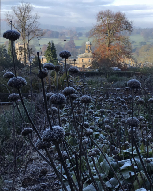 annedebretagneduchesseensabots: Chatsworth House, viewed from the cutting garden Photo by Becky Crow