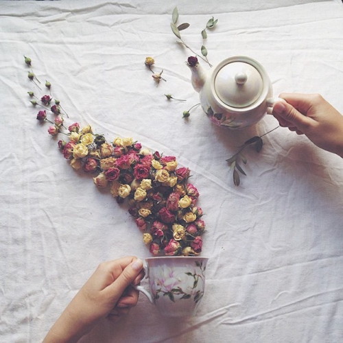 mymodernmet:Toppled Teacups Overflow with Dried Leaves and Delicate Flowers