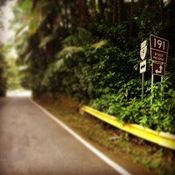 prats93:  #Yunque #rain #forest #boricua