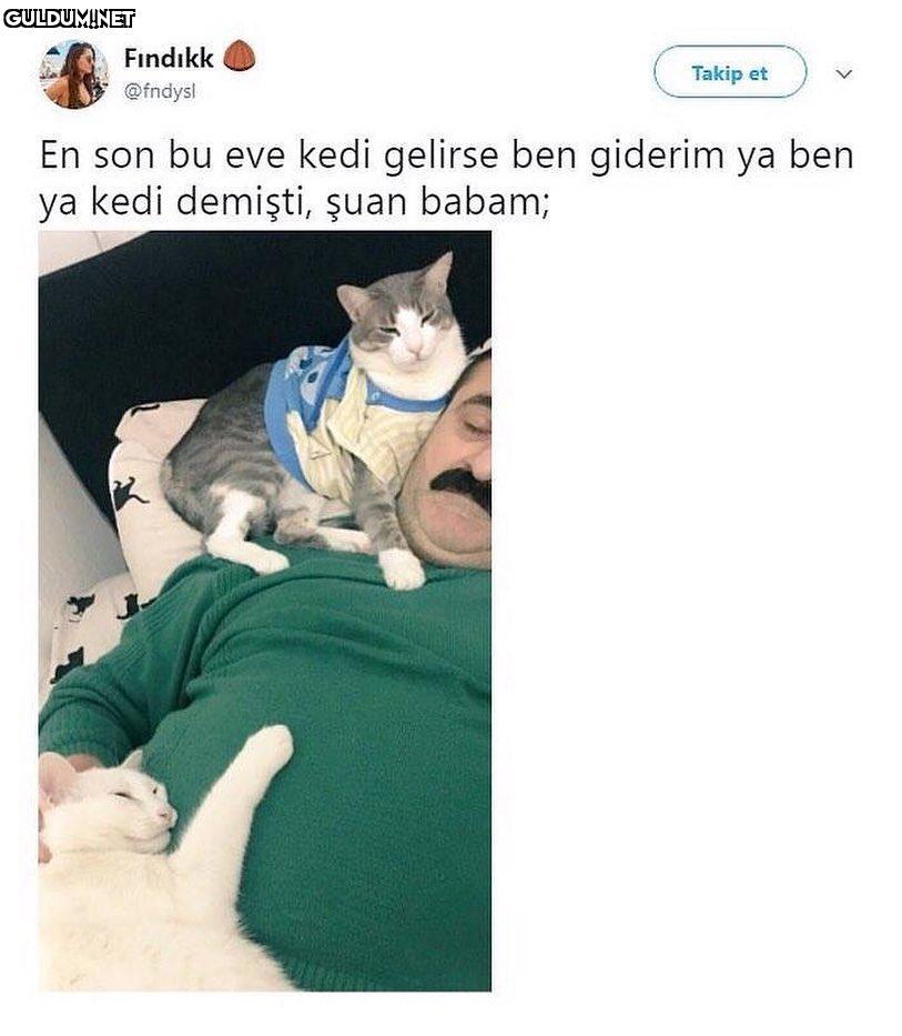 Çoğu baba böyle

En son bu...