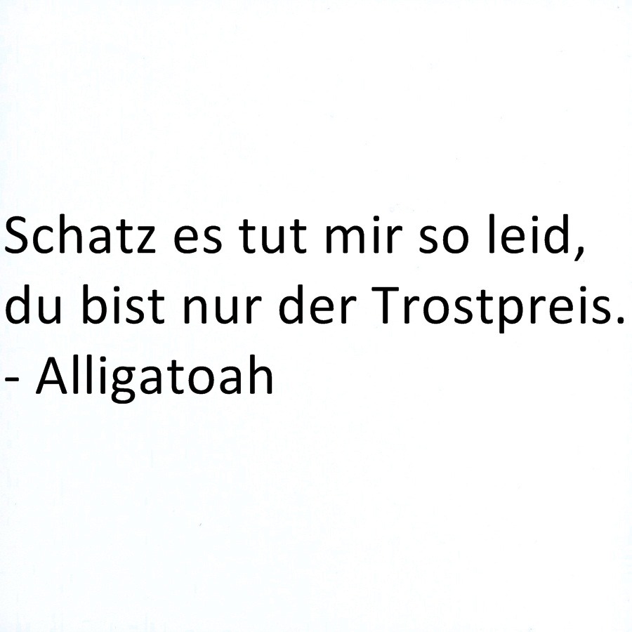 Blog alligatoah freundin Alligatoah geschätztes