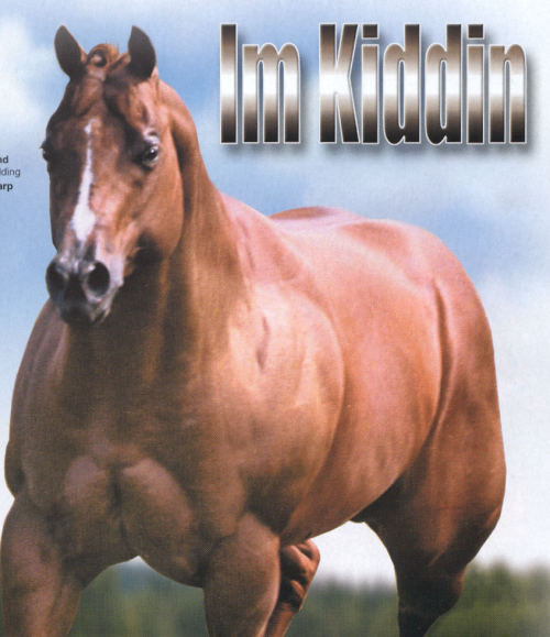 hockboy:bolto:horse names make great reaction picturesI’m kiddin looks like he’s about to beat my as