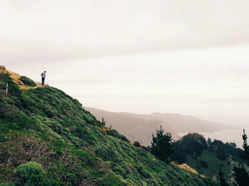 expressions-of-nature:  west coast, best coast by JULIE