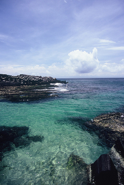 brutalgeneration:  小琉球烤半雞 by lovelyivan on Flickr.