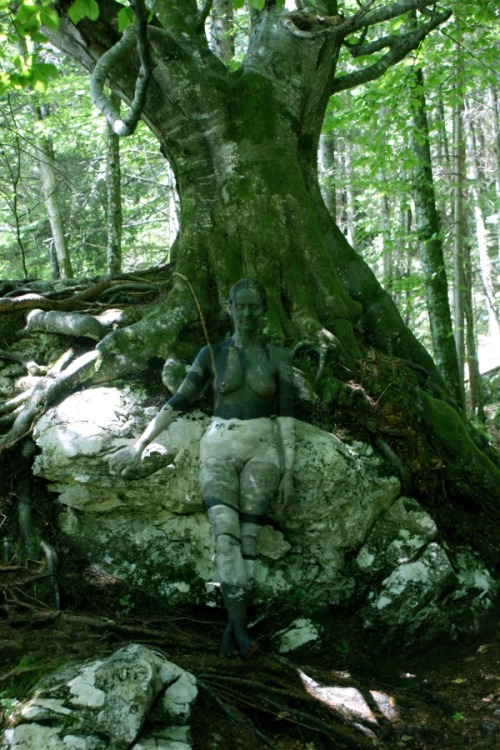 unusualnudephotos:  bodypaintart:  Trees By Johannes Stotter  All of my blogs are themed. Some obviously so. Some not so obviously: Unusual Nude Photos        http://unusualnudephotos.tumblr.com/ Display Your Wife to Other Men  http://displayyourwifetooth