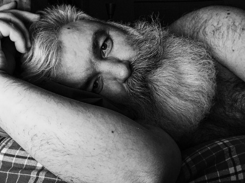 animbear: Awake at 3:00am, let’s take a picture.