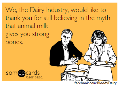 kopns:  vegasmo:  janissa:  loveyourchaos:  avianawareness: “MILK GIVES YOU STRONG