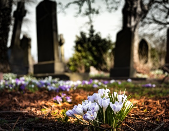 Stop taking people with dementia to the cemetery
